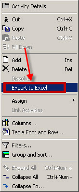 Primavera Export to Excel shortcut