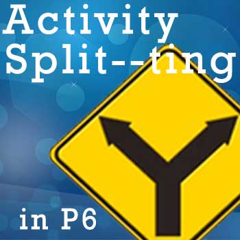 activity-splitting-oracle-primavera