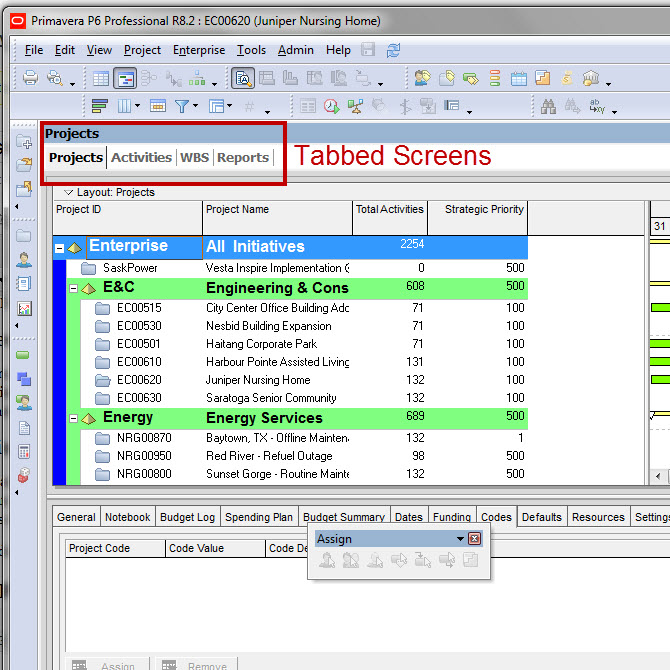 Oracle Primavera P6 Tabbed Screens