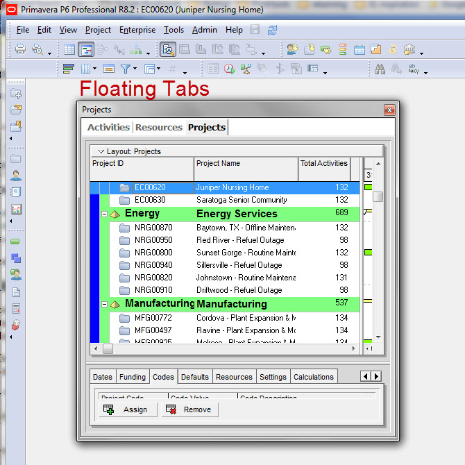 Oracle Primavera P6 Floating screens