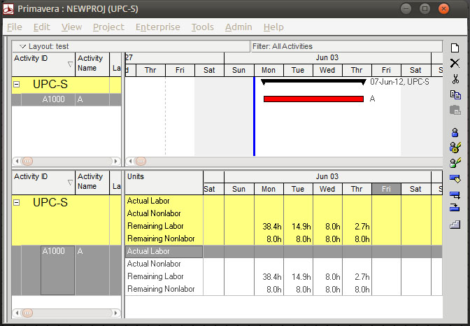 Primavera P6 Units Percent Complete screenshot