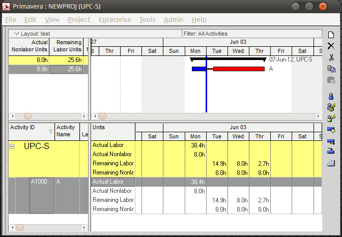 Primavera P6 Units Percent Complete screenshot