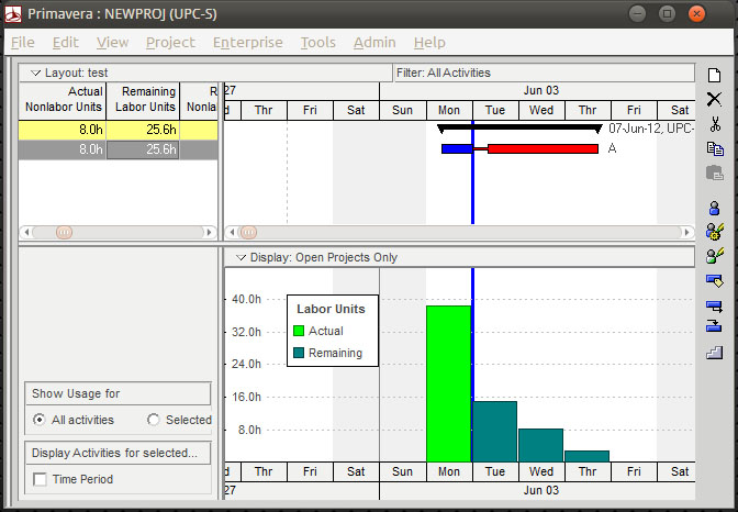 Primavera P6 Units Percent Complete screenshot