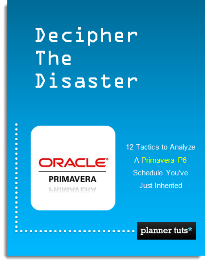 Decipher the Disaster Primavera P6 Analysis ebook