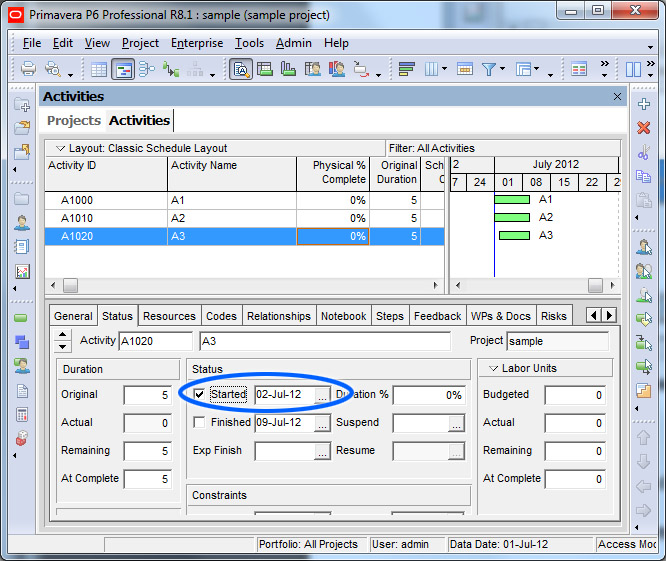 Primavera P6 Physical Percent Complete Tutorial