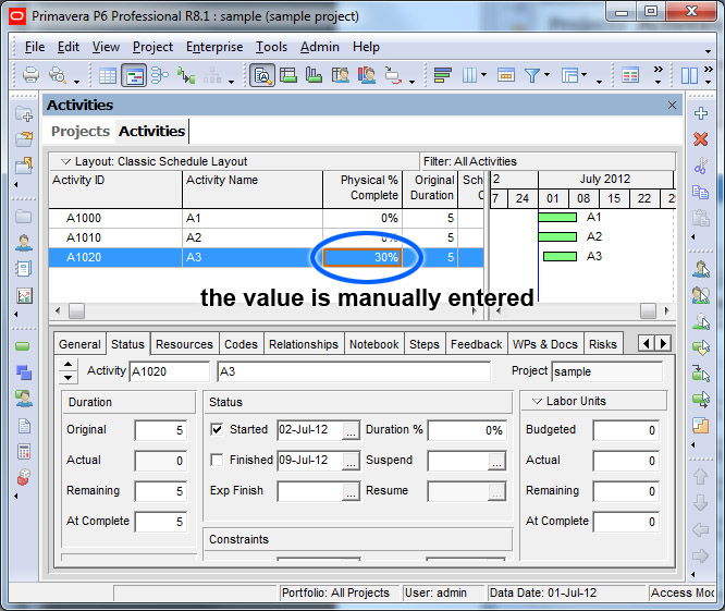 Primavera P6 Physical Percent Complete Tutorial