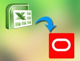 Video: Import Primavera P6 Updates from Excel