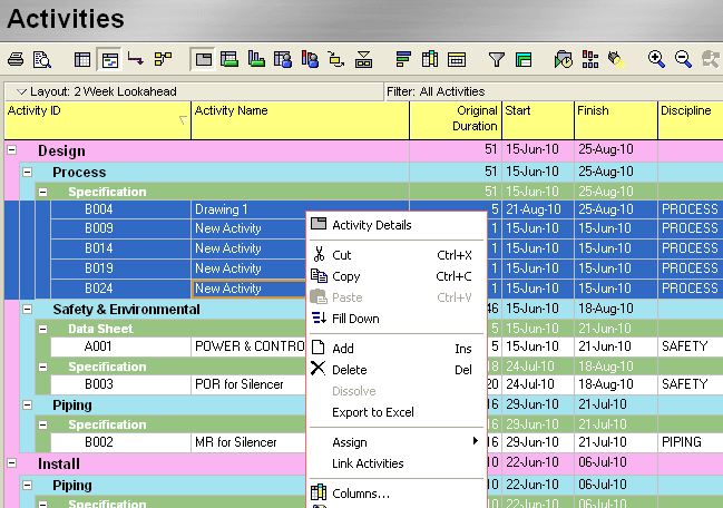 Use Fill Down To Copy Data Across a P6 Schedule