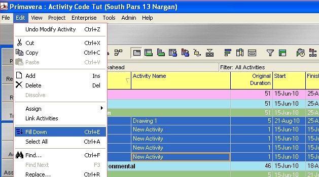 Use Fill Down To Copy Data Across a P6 Schedule