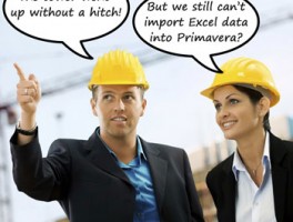 Solve Primavera P6 Import from Excel Problems with ASAP Utilities