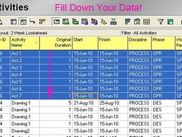 Quick Tip: Use Fill Down To Copy Data Across a P6 Schedule