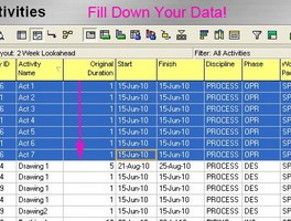 Quick Tip: Use Fill Down To Copy Data Across a P6 Schedule