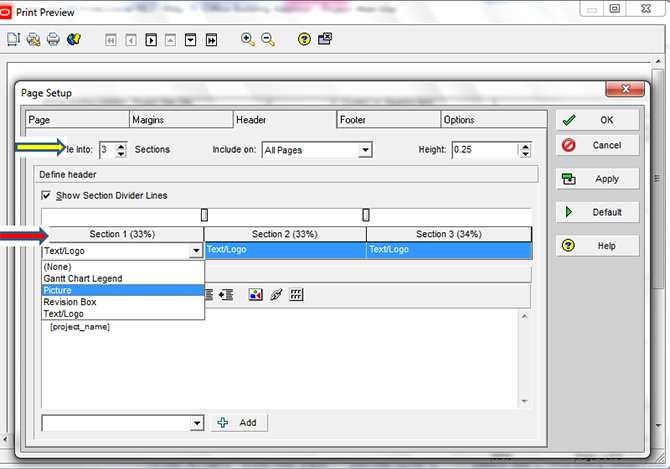 Printing Layouts in Primavera P6