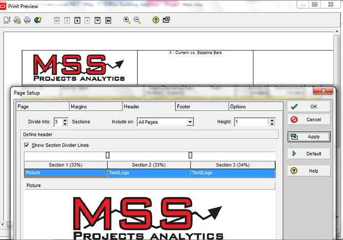 Printing Layouts in Primavera P6