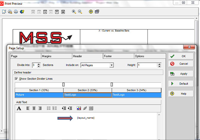 Printing Layouts in Primavera P6