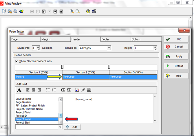 Printing Layouts in Primavera P6