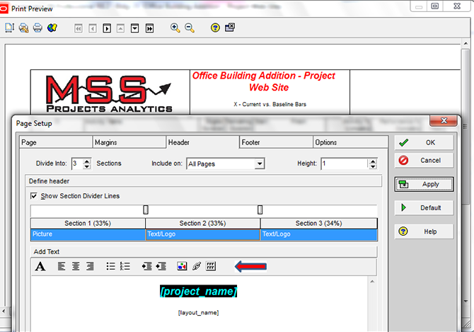 Printing Layouts in Primavera P6