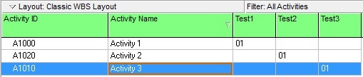 Altering or Removing An XER's Activity codes