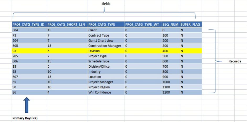 Understanding Primavera XER Files