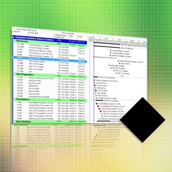 Primavera P6 Quick Tip Focus on Milestones