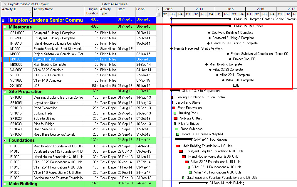 Primavera P6 focus on milestones