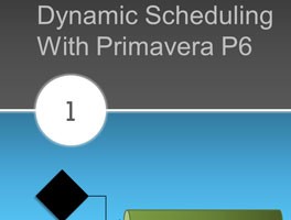Dynamic Scheduling with Primavera P6