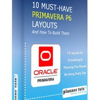 Primavera P6 Tutorial Ebook