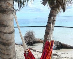 Hammocks In Project Scheduling