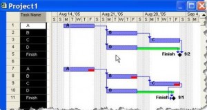 WBSSummary