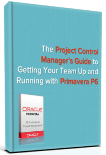 Project Control Managers Guide