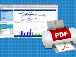 How To Print To PDF in Primavera P6 Professional
