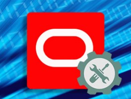 How the Planning Community is Hacking Primavera P6