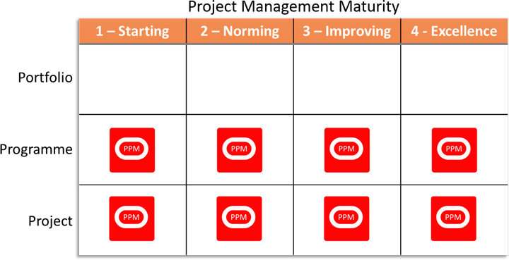 p6 professional pm maturity model ranking