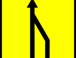 How to Show the Baseline Critical Path In P6