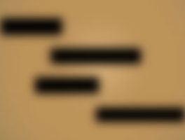 Ghost Schedules: An Overview for Project Controllers