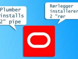 Translate A Primavera P6 Project To A Different Language