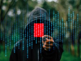 5 Ways to Prevent Your Primavera P6 Install From Getting Hacked