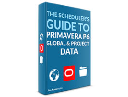 A Guide to Primavera P6 Global & Project Data