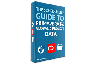 guide to primavera p6 global and project data