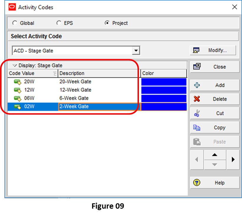 Grouping By P6 Activity Codes