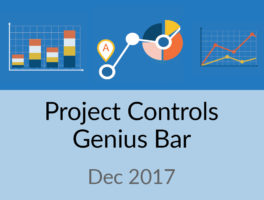 p6 resource graphs, bim and more