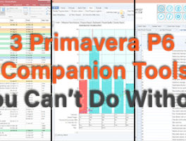 affodable-primavera-p6-companion-tools