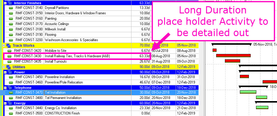 rolling wave planning primavera p6 placeholder