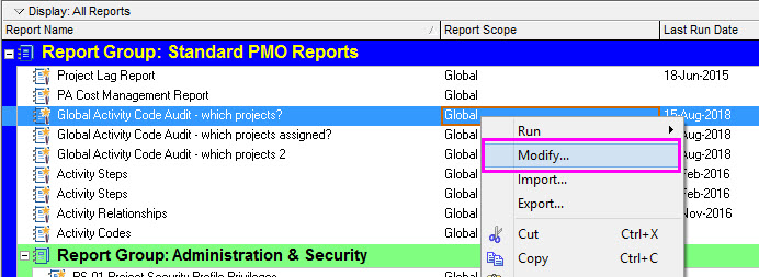 modify the p6 global activity code report