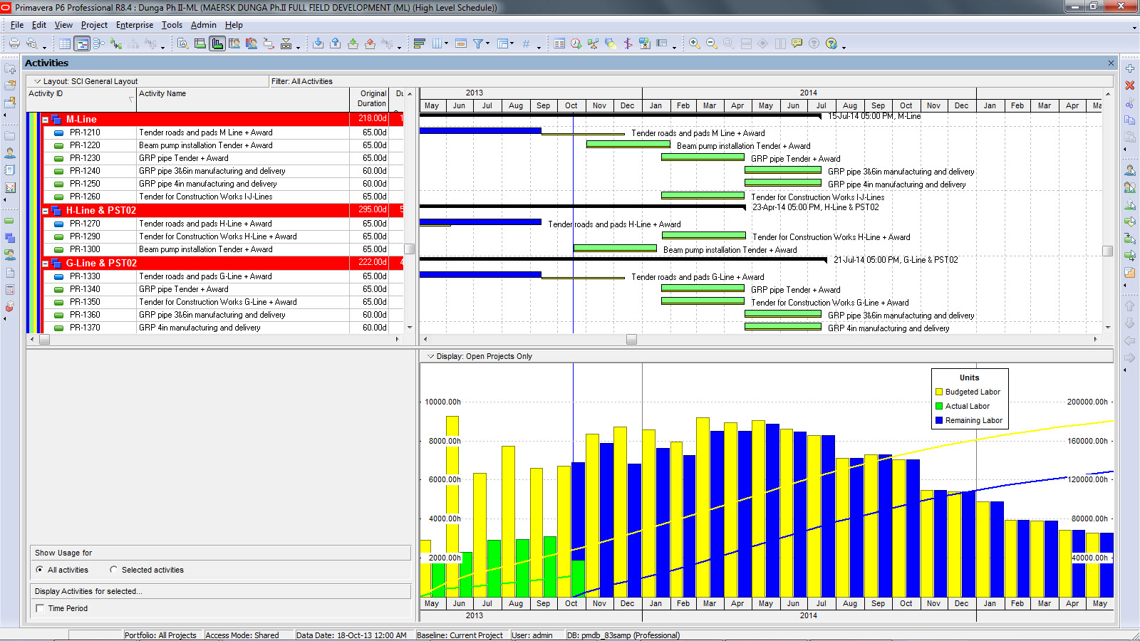 Primavera P6 advanced course