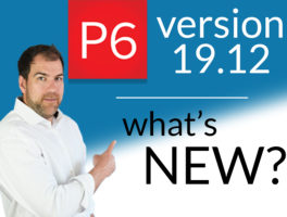 Primavera P6 Pro v19.12 is here. Here’s What’s New.