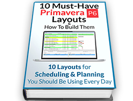 10 Must-Have Primavera P6 Layouts (...And How To Build Them)
