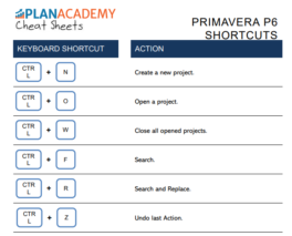 P6 Shortcut Keys Cheat Sheet