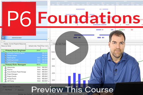 Primavera P6 Online Training for Beginners (software included)