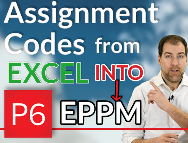 import primavera p6 assignment codes from excel